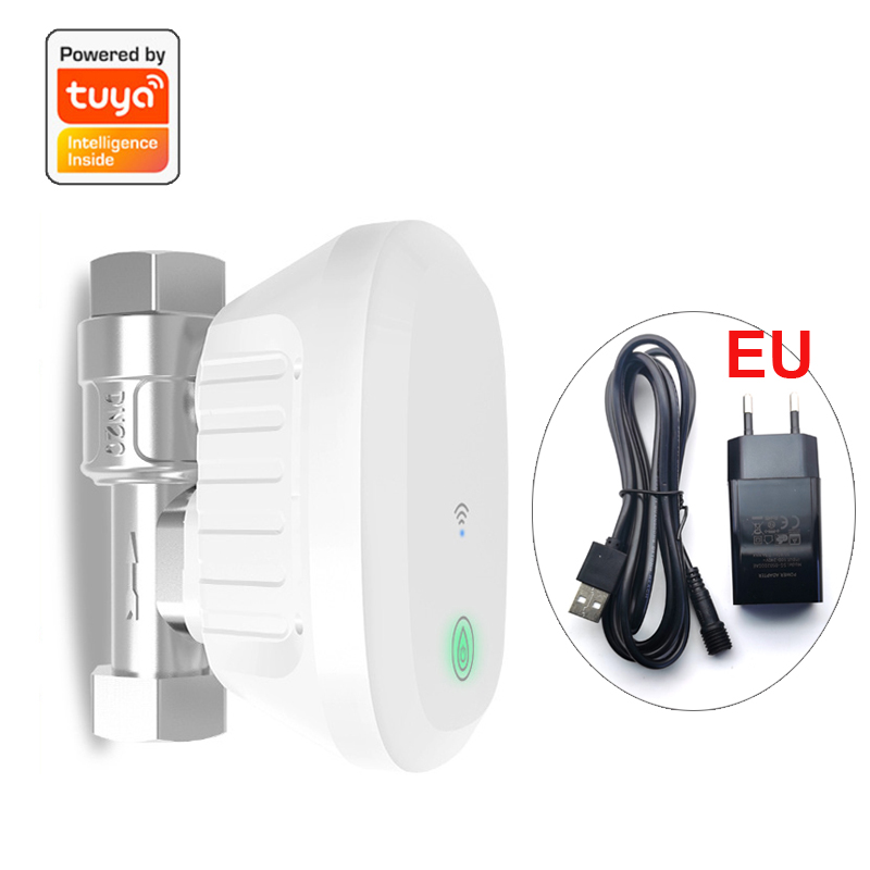 Tuya 스마트 WiFi 워터 밸브 수량계 물 흐름 속 - Home Assistant Tuya 리뷰 및 가격